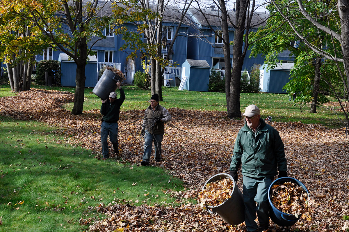 Fermeture et nettoyage de terrain, gens ramassant feuilles d'arbres à l'automne