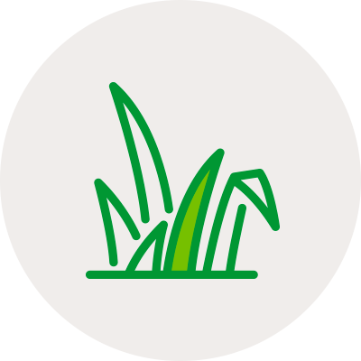 Icône pelouse, gazon