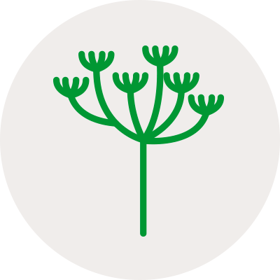 Icône plantes et insectes nuisibles